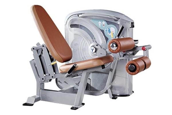 Máquina para curl de piernas sentado TZ-5010